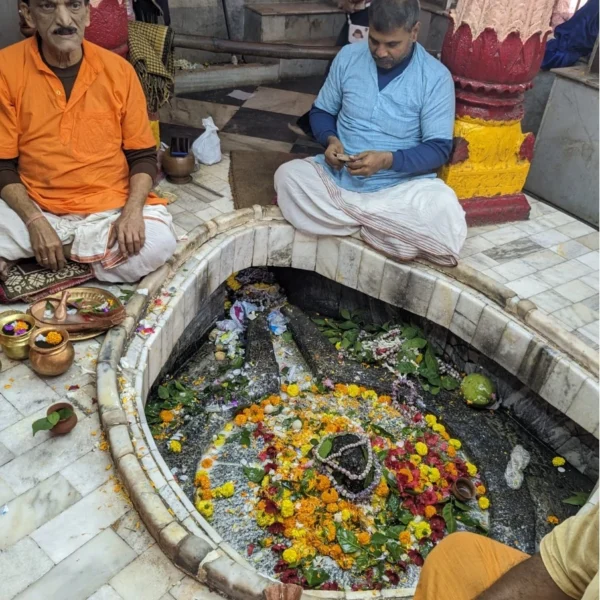 The Swayambhu Shivalinga