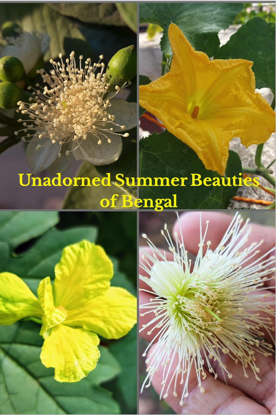 Unadorned Summer Beauties