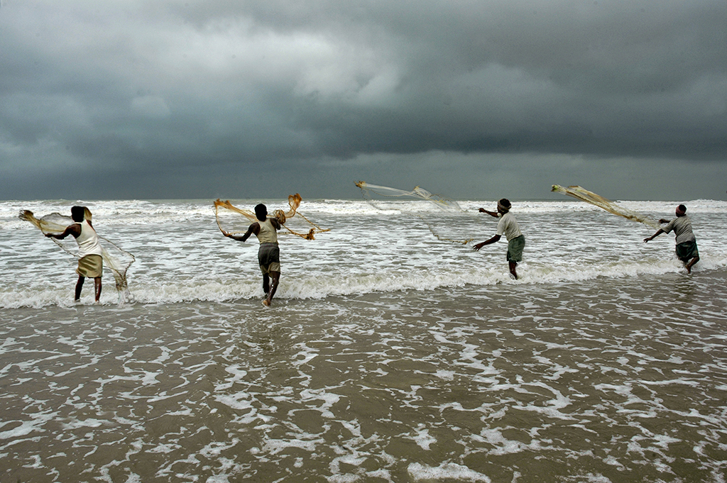 Casting the net: