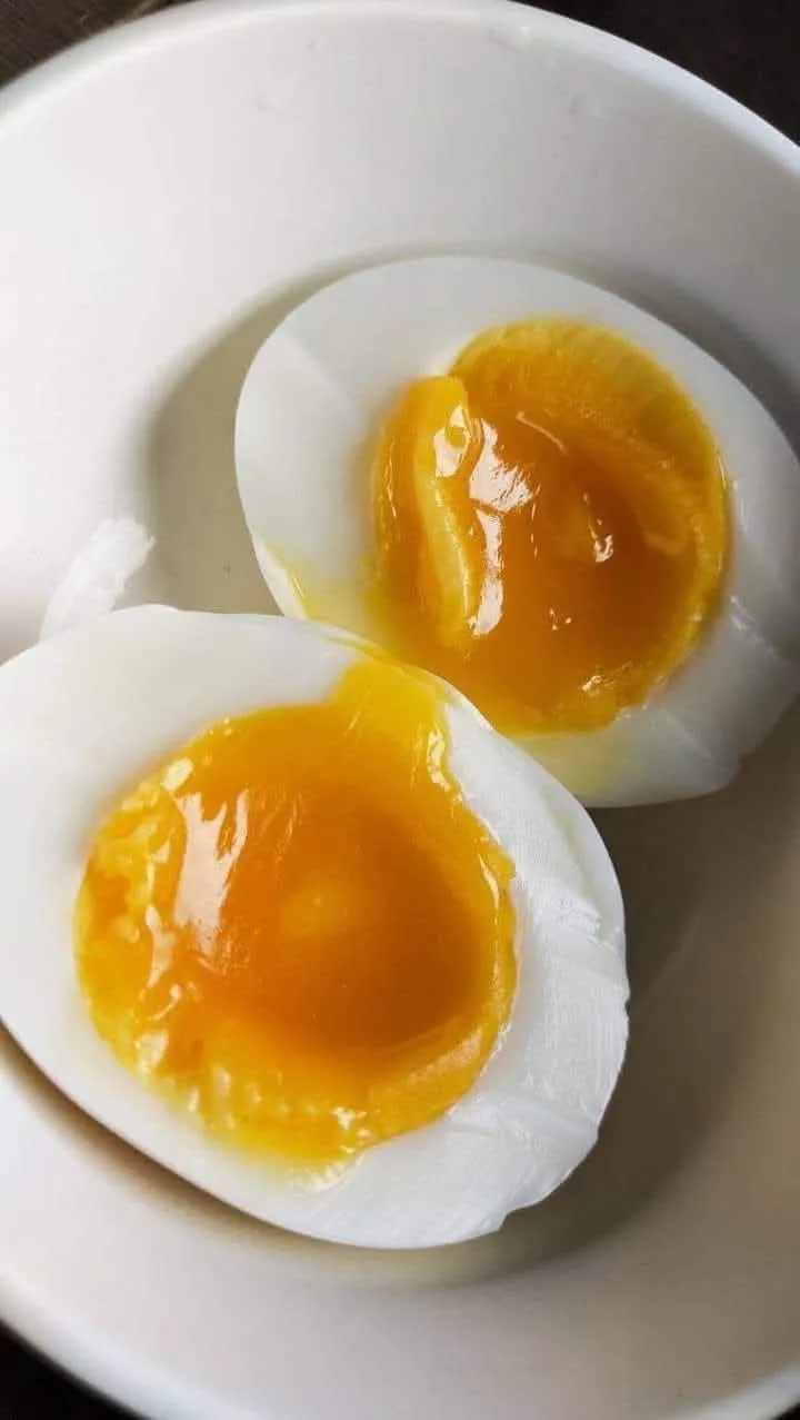 Leghorn eggs